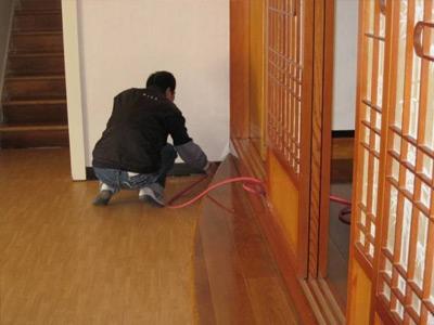 家里有該白蟻怎么辦？